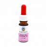 Huile de Chanvre BIO CBN 5% - Mama Kana