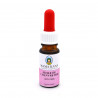 Huile de Chanvre BIO CBN 20% - Mama Kana