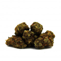 Fleurs de CBD Blueberry - Mama Kana
