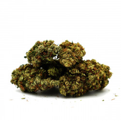 Fleurs de CBD Banana Cream - Mama Kana