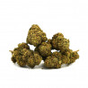 Fleur CBD Cookie Kush - Mama Kana