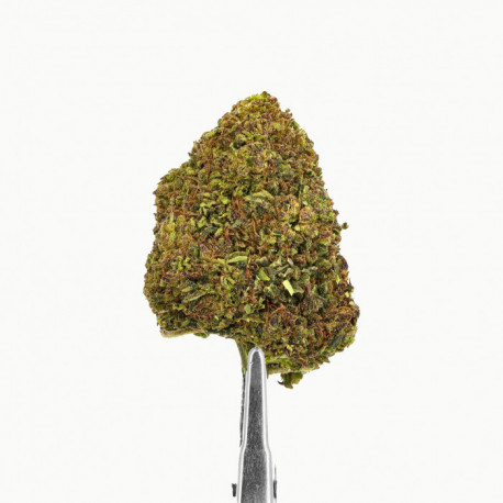 Fleur de CBD Blue Cheese - DELI-HEMP