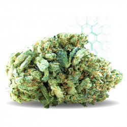 CBD Zkittlez 2GR  - Mama Kana