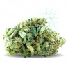 CBD Zkittlez 2GR  - Mama Kana