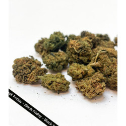 Fleur CBD Moby Dick Small Buds Greenhouse - Bzhaze