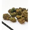 Fleur CBD Moby Dick Small Buds Greenhouse - Bzhaze