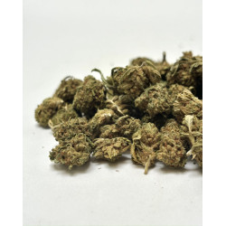 Fleur CBD Grapefruit Small Buds Greenhouse - Bzhaze