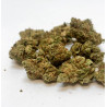 Fleur CBD G13 Haze Small buds Indoor Premium + - Bzhaze