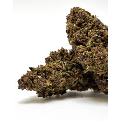 Fleur CBD Purple Lemonade Glasshouse - Bzhaze