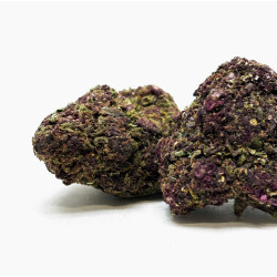 Fleur CBD Cannatonic Purple Indoor Premium + cryogénisée - Bzhaze