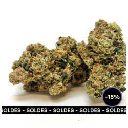 Fleur CBD White Siberian Indoor Cryogénisée - Bzhaze