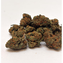 Fleur de CBD Cherry Pie Small Buds Glasshouse - Bzhaze
