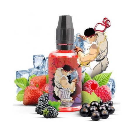 Concentré Seiryuto 30ml Fighter Fuel - Maison Fuel