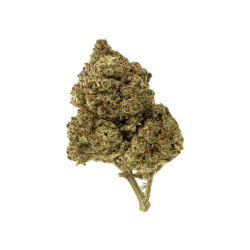 FLEURS CBD RED VELVET HYDRO - Delihemp