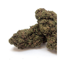 Fleur CBD Cheesy Kush Glasshouse - Bzhaze 2 GR