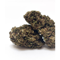 Fleur CBD Tangerine Dream Greenhouse - Bzhaze 2 GR