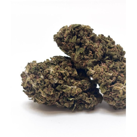 Fleur CBD Tangerine Dream Greenhouse - Bzhaze 2 GR
