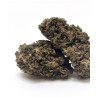 Fleur CBD Tangerine Dream Greenhouse - Bzhaze 2 GR