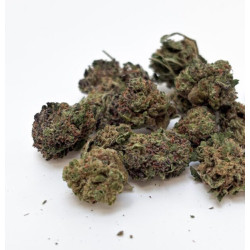 Fleur CBD Bubble Gum Small Buds Glasshouse - Bzhaze 2 GR
