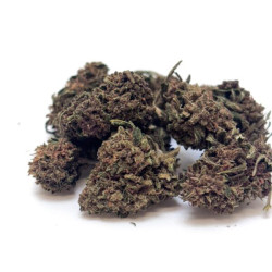 Fleur CBDSour Lemon Small Buds Glasshouse - Bzhaze 5 GR