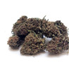 Fleur CBDSour Lemon Small Buds Glasshouse - Bzhaze 5 GR
